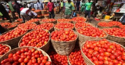 Ahead of Ramadan, Prices Of Tomato, Pepper Rise By 60% In Lagos  