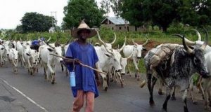 Pregnant Woman In Enugu Butchered By Suspected Herdsmen  
