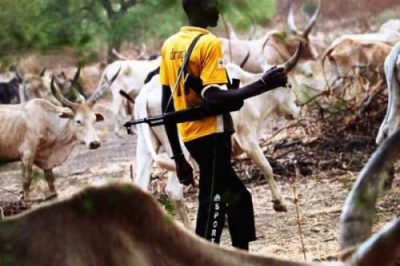 Suspected Herdsmen Abduct Four Teachers In Delta  