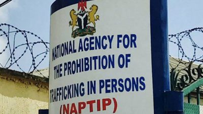 NAPTIP Charges 3 To Court Over Alleged Sexual Exploitation Of Minor  