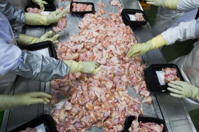 Imported Chicken In China Tests Positive For Coronavirus  