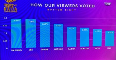 #BBNaija: See How Nigerians Voted For Their Favourite Housemate  
