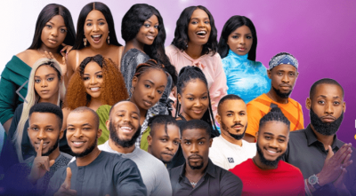 Check Out The Top 5 Housemates With The Highest Earnings  