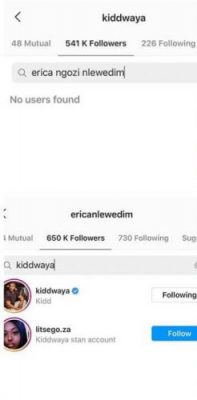 BBNaija: Drama As Erica Unfollows Kiddwaya On Instagram [Photo]  