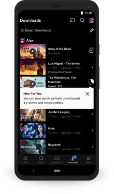 Netflix Launches Cheap Mobile Plan With Partial Download Feature  