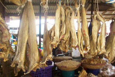 Norway Blames Rising Cost Of Stockfish In Nigeria On Forex Ban  
