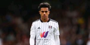 Fulham teen agrees personal terms with Premier League club  