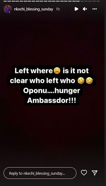 "Hunger Ambassador" - Nkechi Blessing Fires Back At Opeyemi Falegan  