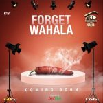 DSTV Announces Big Brother Naija Season 4, "Forget Wahala"  