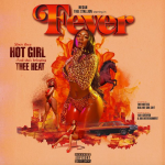 Megan Thee Stallion - "Simon Says" ft. Juicy J  