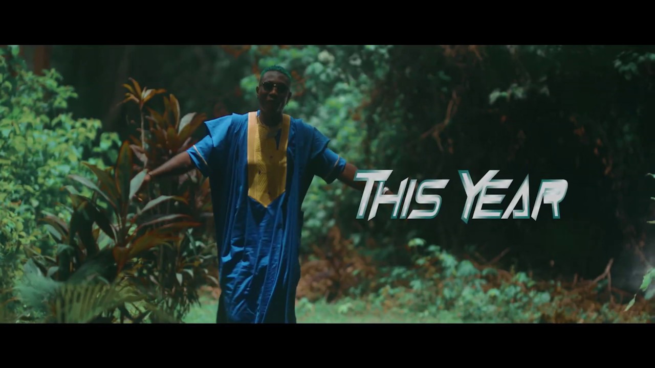 Zlatan Ibile - This Year  