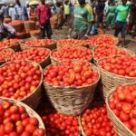 Ahead of Ramadan, Prices Of Tomato, Pepper Rise By 60% In Lagos  