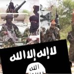 Boko Haram Recaptures Two LGAs In Borno  