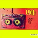 Fireboy DML - Don't Say No  