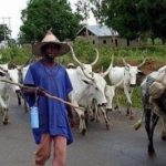 Pregnant Woman In Enugu Butchered By Suspected Herdsmen  