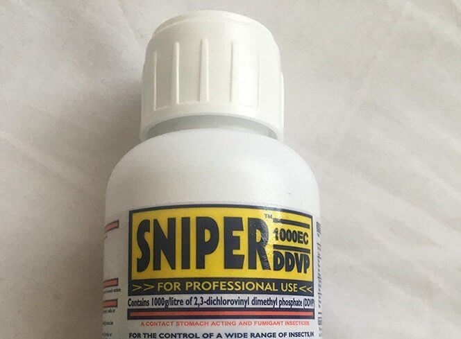 Deeper Life Pastor Takes Own Life After Being Defrauded  