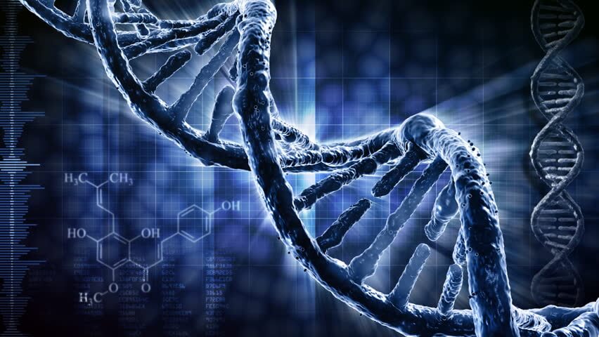 US Court Validates President Trump's Impeachment Process  