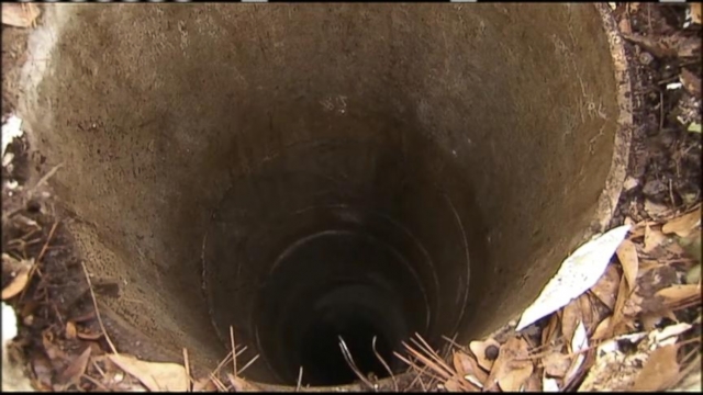 FG Declares June 12 Public Holiday To Mark Democracy Day  