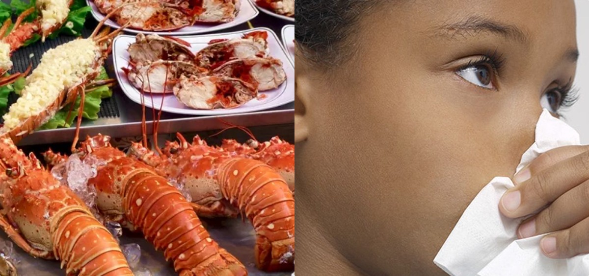 Fortified Shellfish A Bullet That Tackles Vitamin Deficiency  