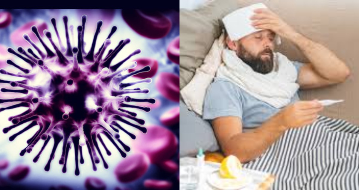 Forget Coronavirus, These Five (5) Diseases Are Deadlier  