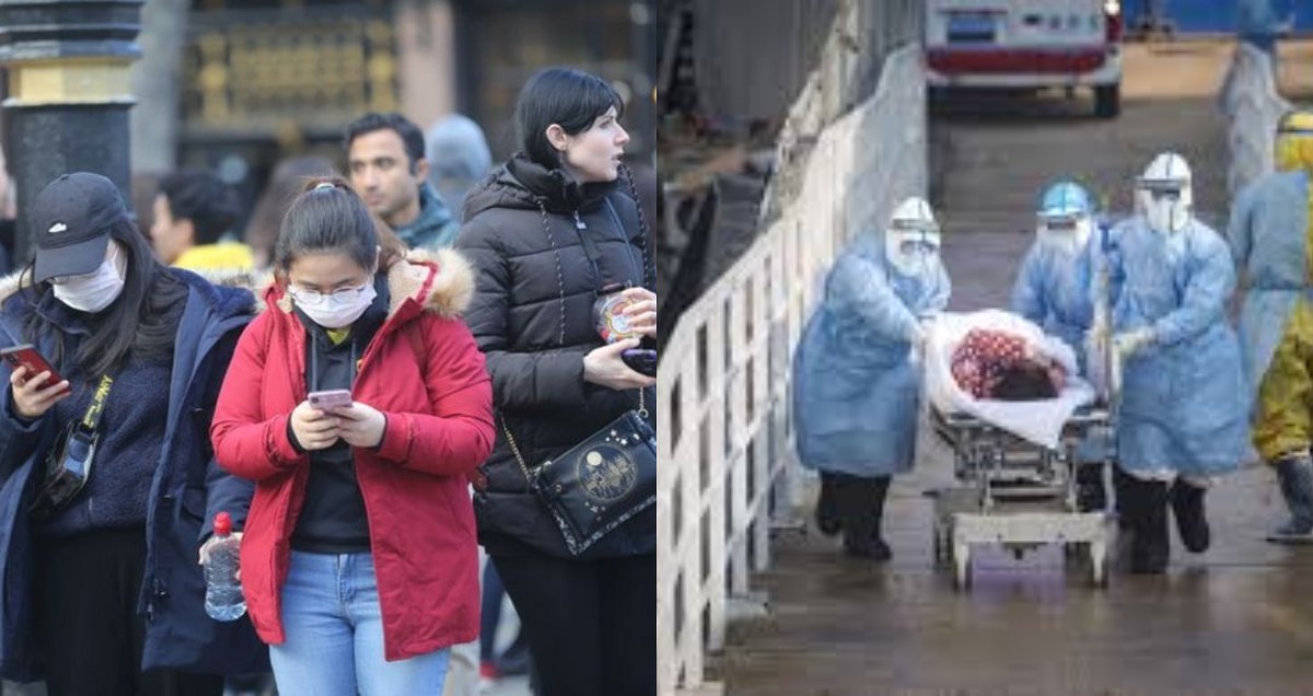 Fortified Shellfish A Bullet That Tackles Vitamin Deficiency  