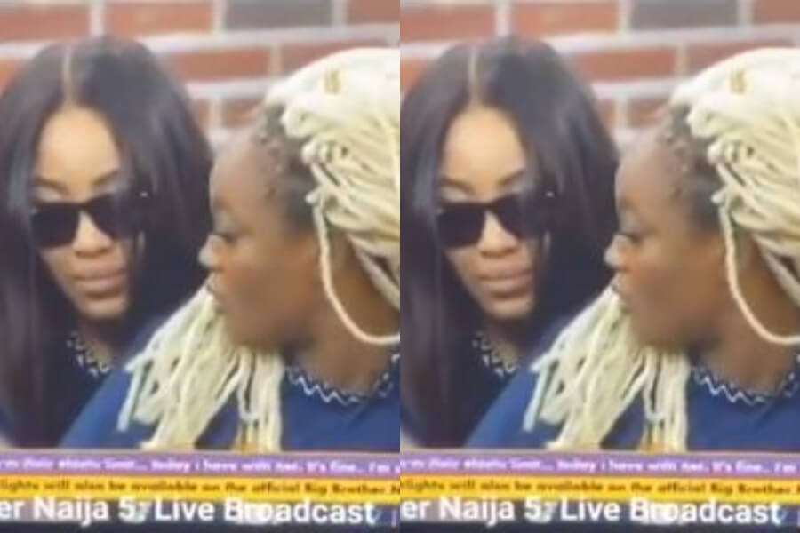 BBNaija: "I'm Sorry I Insulted You, I Did Not Mean Those Words" - Erica Apologies To Lucy  