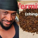 Nigerian Singer, Peter Okoye Spotted Eating Insect [VIDEO]  