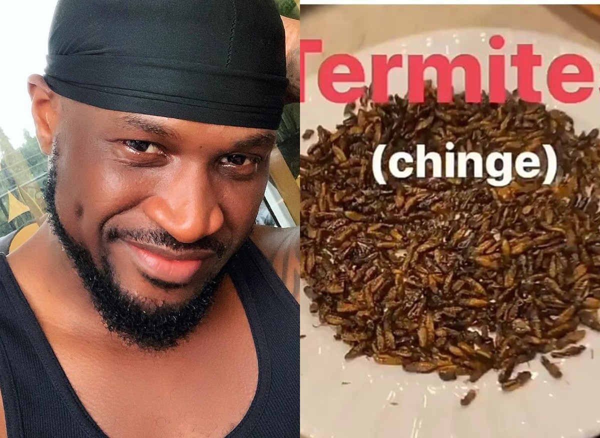 Nigerian Singer, Peter Okoye Spotted Eating Insect [VIDEO]  