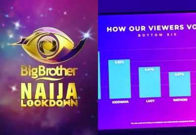 #BBNaija: See Details Of How Nigerians Voted  