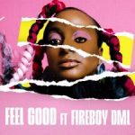 Cuppy ft. Fireboy DML - Feel Good  