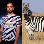 Hilarious Tweets Compare Manchester United New Kits With Zebras  