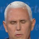 Fly That Landed On Mike Pence Head Becomes VP Debate Star  