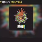 Reekado Banks ft. AttiFaya - You Dey Mad  