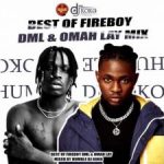 DJ Koko - Best Of Fireboy DML & Omah Lay Mix  