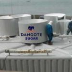 7 Feared Dead As Soldiers Attack Protesting Dangote Workers  