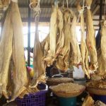 Norway Blames Rising Cost Of Stockfish In Nigeria On Forex Ban  