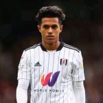 Fulham teen agrees personal terms with Premier League club  