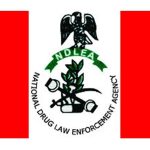 NDLEA recruitment exercise: Assessment test dates announced  