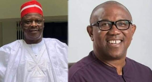 I Prefer A Younger Running Mate - Peter Obi  