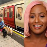 DJ Cuppy Trains Her Dogs On Humility By "Taking Public Transport With Them"  