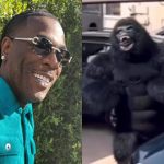 "Yes! I Be Gorilla..."; Burna Boy Pulls Up In The Real 'Gorilla' Form [VIDEO]  