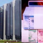 We Massively Supplied New Naira Notes - CBN Debunks Reports of Scarcity  