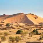 The Sahara Desert: Geography, History, Culture, and Ecology  