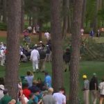 Falling Trees at Masters Tournament Cause Alarm  